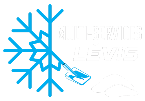 Multi-services Lévis